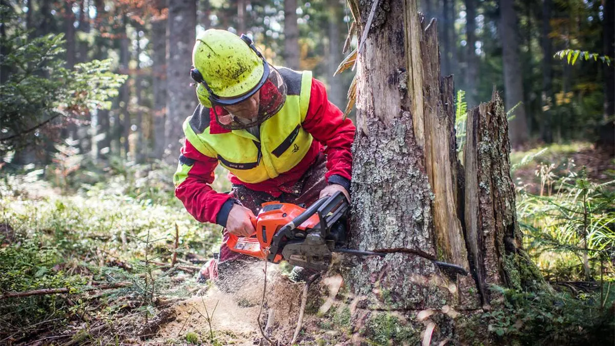 Der Mann arbeitete alleine im Wald 