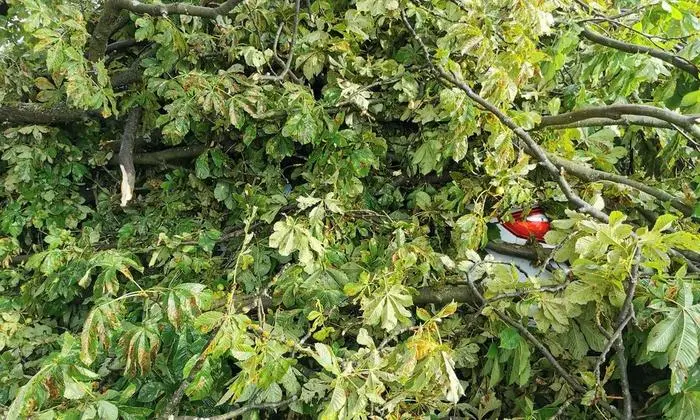 Ein Baum hat ein Auto bei der Loretokirche in St. Andrä komplett unter sich begraben