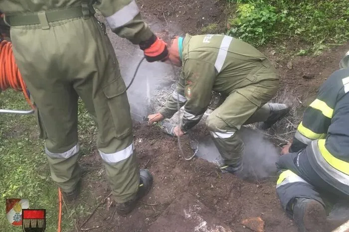 Mit der Flex schnitten die Feuerwehrleute aus Hall das Betonrohr vorsichtig hinter dem Fundort des Tieres auf