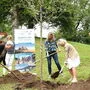 Stadt- und Projektvertreter pflanzen im Schlosspark einen Maschanzker-Apfelbaum ein