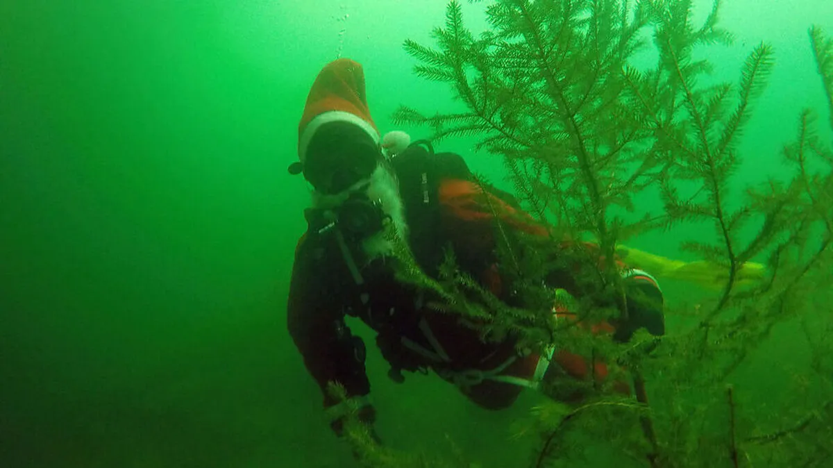Der Christbaum wurde im Freizeitsee Krieglach versenkt