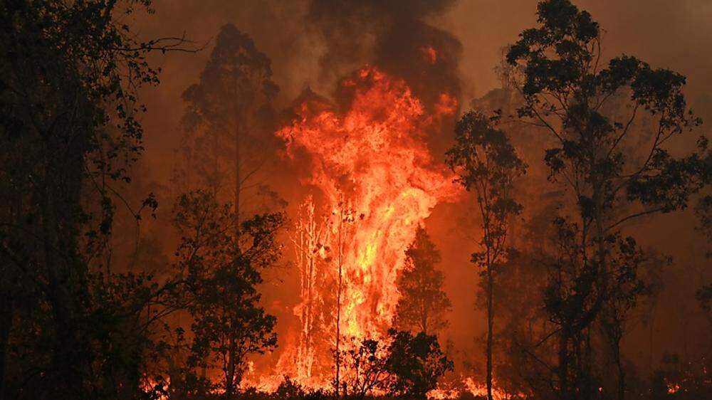 Buschbrände wüten in Australien