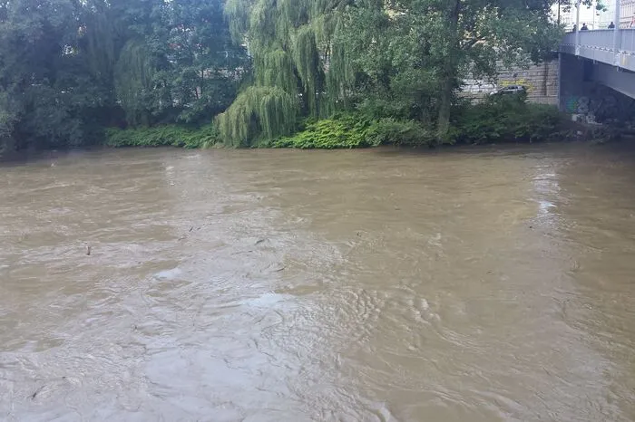 Mit dem Wasser kommt auch Treibgut ...