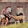 Anna Huber aus Bayern wacht im Gailtal über Schafe, Esel und Ziege