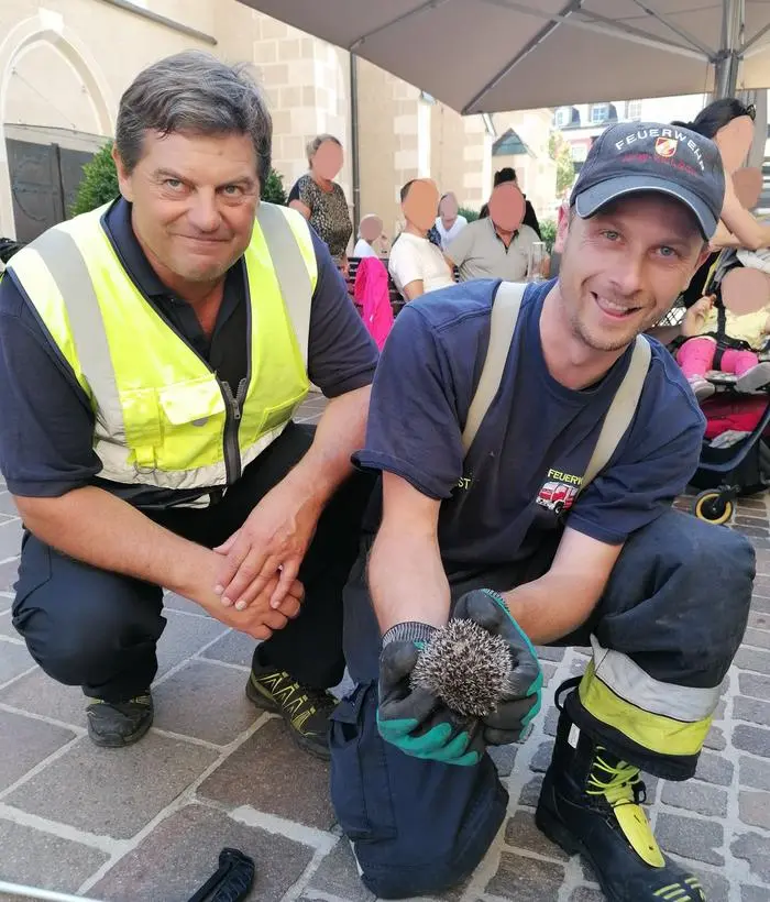 Der Igel konnte unversehrt aus dem Loch geborgen werden