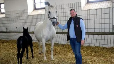 Gestütsleiter Erwin Movia (Archivbild)