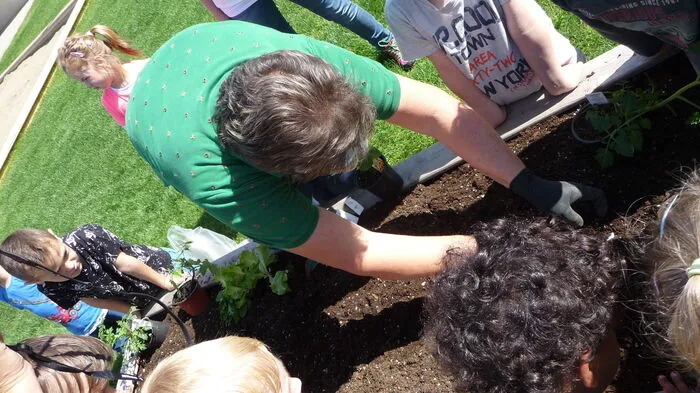 Im Kindergarten Großklein zeigen die Kleinen ihr gärtnerisches Geschick. Gemeinsam mit Vertretern des Bauernbundes wurden Hochbeete bepflanzt.