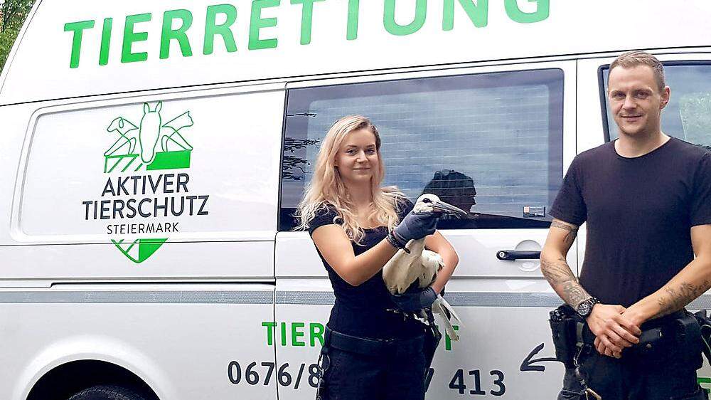 Susanne Manninger und Mikael Milano von der Tierrettung Steiermark mit dem verletzten Storch