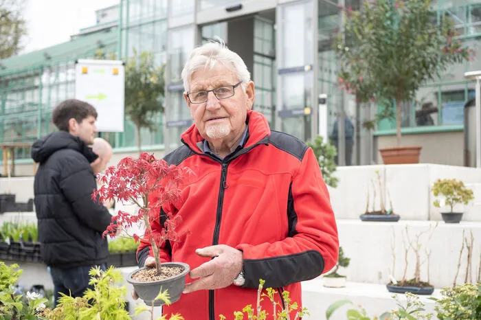 Geöffnet ist der Markt auch noch diesen Sonntag.