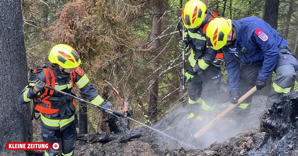 After 24 days: Carinthia's largest forest fire is extinguished