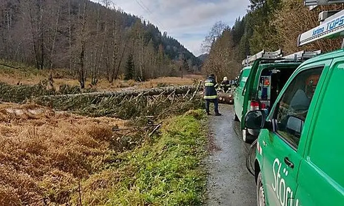 Umgestürzte Bäume blockieren Straßen. Kelag-Mitarbeiter kommen nur schwer an Störstellen ran