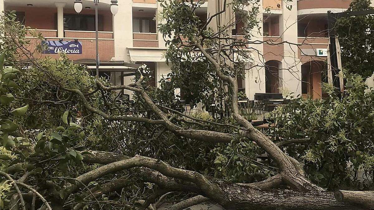Umgestürzter Baum vor einer Hotelanlage in Grado