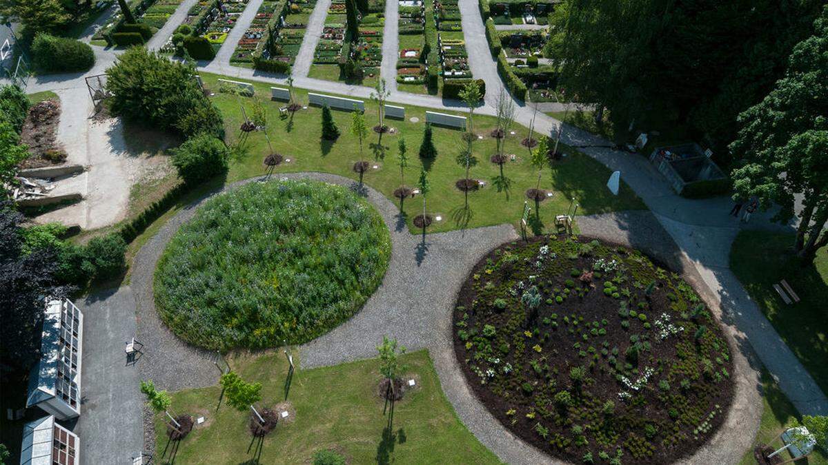 Das Gemeinschaftsgrabfeld am Zentralfriedhof