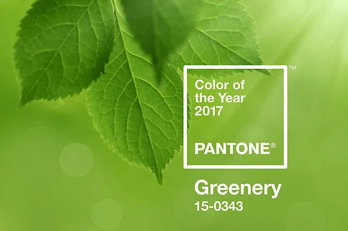 Greenery.Hoffnung, nun ist sie auch die Farbe des Jahres 2017. Der Farbhersteller Pantone hat das saftige Grün auserkoren. „Esist ein Symbol für die aufkeimende Sehnsucht nach neuer Hoffnung in einem sozialen und politischenUmfeld“, so das Unternehmen über seine Wahl.