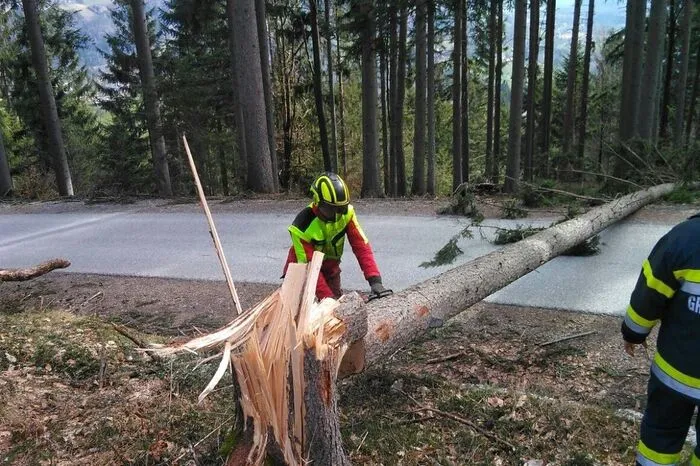 Auch in Gressenberg wurde die Feuerwehr zu einem Einsatz gerufen. Sechs Feuerwehrleute räumten dort einen umgestürzten Baum von der Fahrbahn.