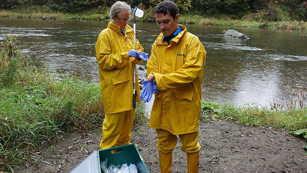 Greenpeace untersucht Wasser aus der Mur