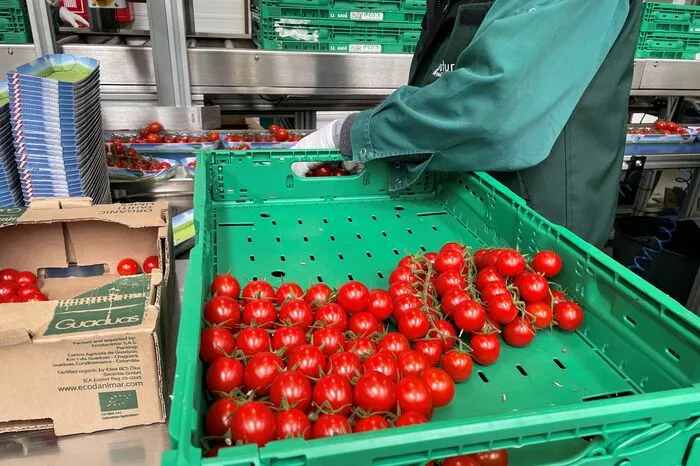 Das Sortiment umfasst zeitgleich rund 300 verschiedene Produkte, aufs Jahr gerechnet gibt es bis zu 1000 unterschiedliche Artikel.