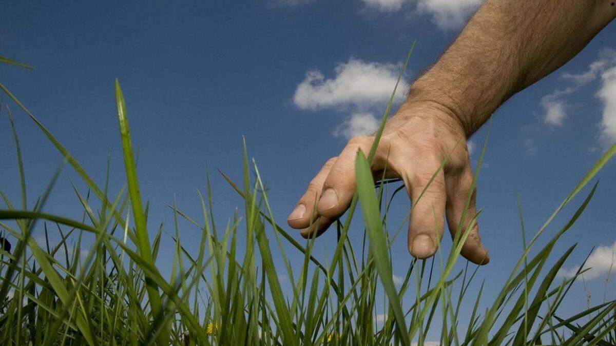 Landwirtschaft soll sich für Landwirte und Konsumenten rentieren