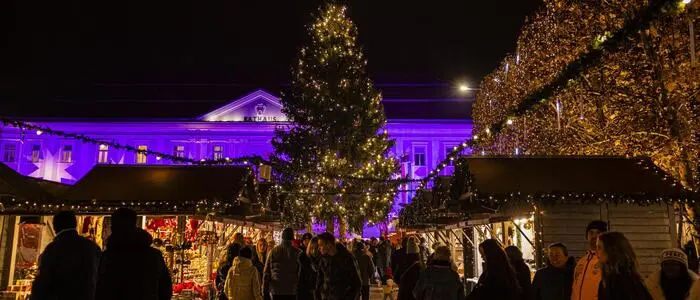 Der Weihnachtsbaum am Neuen Platz zählt zu den Höhepunkten am Christkindlmarkt