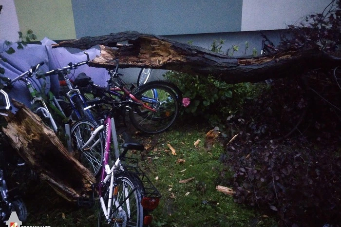 Insgesamt wurden in dieser Nacht acht Einsätze und 38 Mannstunden von der FF Graz in insgesamt sechs Stadtbezirken geleistet. Auch die Berufsfeuerwehr Graz war mit mehreren Fahrzeugen im gesamten Stadtgebiet im Einsatz.