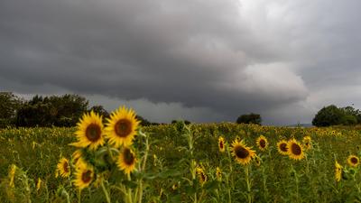 Dunkle Wolken zogen 2024 häufiger über die landwirtschaftlichen Felder als es den Landwirtinnen und Landwirten lieb war