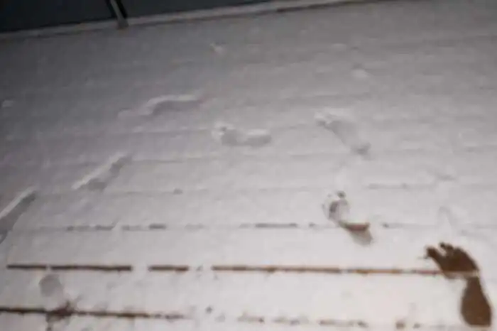 Fußstapfen im Schnee Nähe Bad Gleichenberg