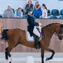 Österreichs Elite im Dressur-Reitsport war in Gössendorf