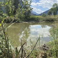 „Neben dem Neusiedler See einer der Hotspots für Zugvögel in ganz Österreich“ – die Gemeinde Nußdorf-Debant zweifelt die Aussage der APG an