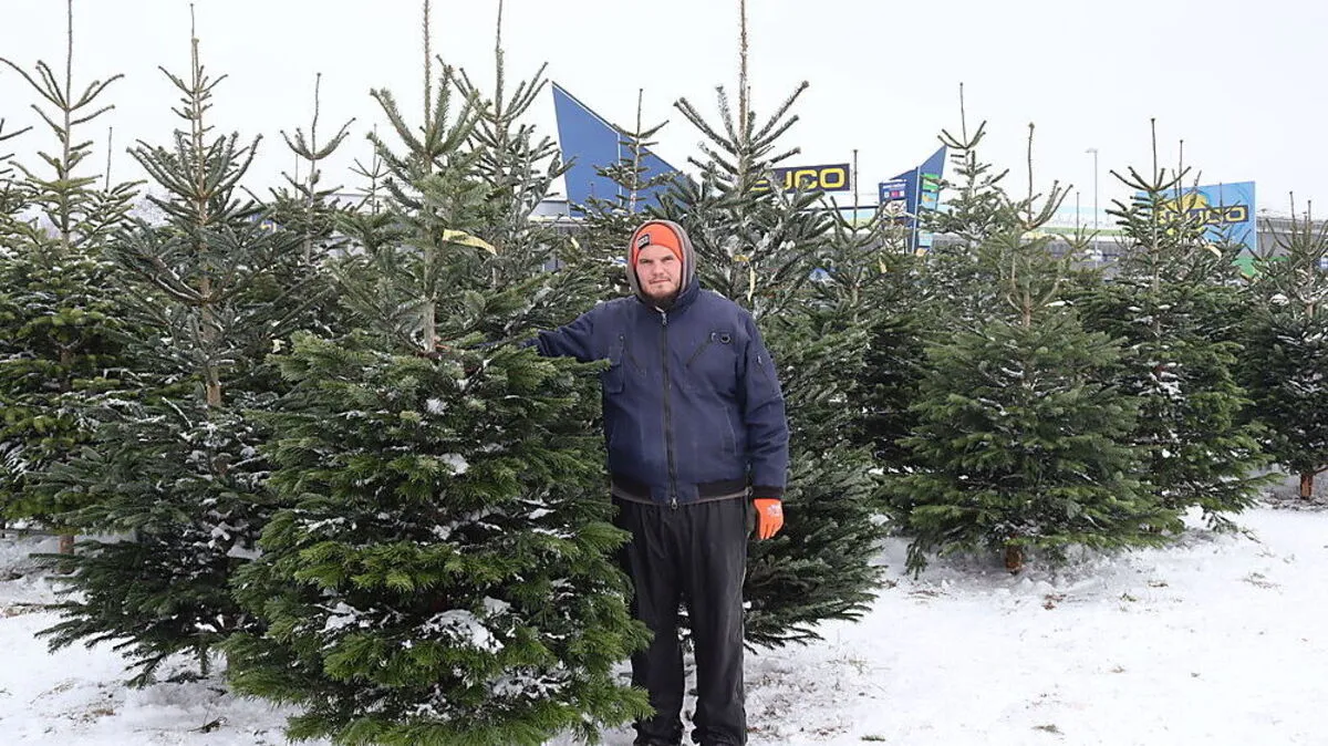 Manuel Obertautsch vom Christbaumland 