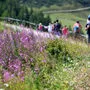 Das Wandern ist im Sommer bei uns eindeutig das Urlaubsthema Nummer eins