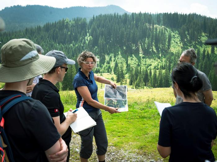Manuela Hirschmugl beschreibt ihre Forschungsarbeiten zum Waldbestand bei einer Forschungsstation auf einem Almgebiet im Nationalpark Gesäuse