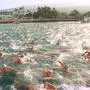 Contestants in the 21st Ironman Triathlon World Championship begin the event with the swim in Kailua-Kona, Hawaii, Saturday, Oct. 23, 1999. About 1,500 triathletes from around the world take off for the 2.4 mile swim, 112 mile bike and 26.2 mile run event. (AP Photo/West Hawaii Today, Baron Sekiya)