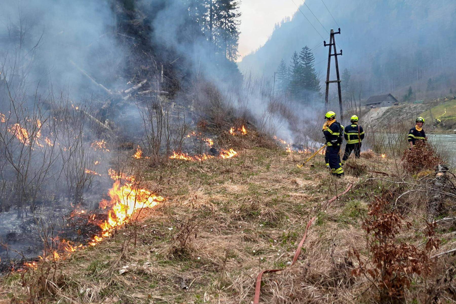 Länder fordern: Bund soll mehr Geld zur Waldbrandbekämpfung zur Verfügung stellen