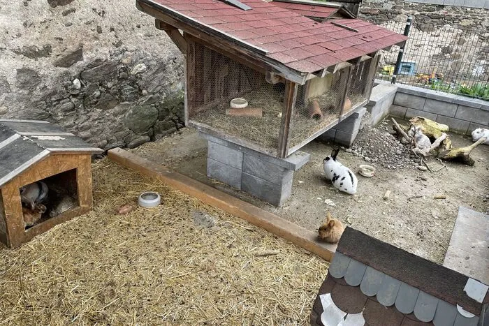 Fast alle Tiere können von den Besuchern auch gestreichelt werden