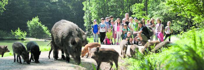 Eine Schülergruppe im Naturpark Sparbach