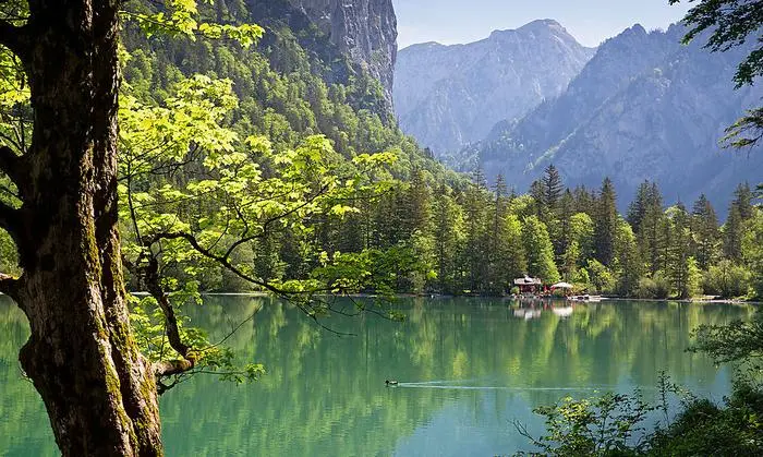 Blick auf den Leopoldsteinersee