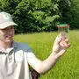 Die Ranger informieren bei Exkursionen über den besonderen Lebensraum am Lendspitz-Maiernigg.    
