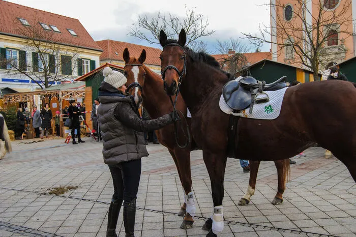 Dort erfolgte nach dem gemeinsamen Einzug die Pferdesegnung, wozu alle Pferdeliebhaber, Reiter und Fahrer herzlich eingeladen waren.