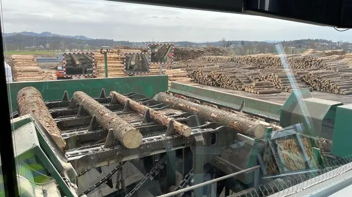 Mit seiner 3D-Vermessung gilt das Hasslacher-Sägewerk in Preding als hochmodernes Werk.