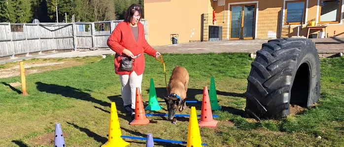 Ein Hund läuft durch einen Hundeparcours mit der Betreiberin