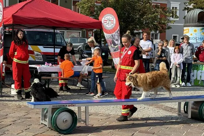 So präsentierten sich 26 Vereine und (Einsatz-)Organisationen auf dem Fürstenfelder Hauptplatz ...