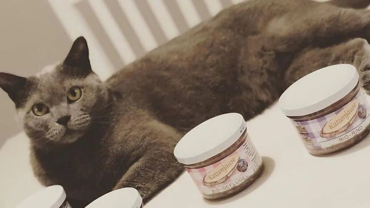 Balu, Tester der ersten Stunde 