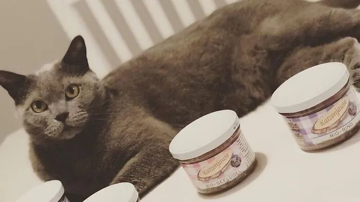 Balu, Tester der ersten Stunde