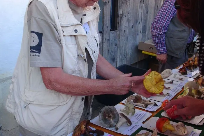 Die Einstimmung aufs Finale auf dem Gelände des Naturparkzentrums Grottenhof besorgten zuvor Gastronomen, die drei Tage lang 20 verschiedene Pilzgerichte serviert hatten.  