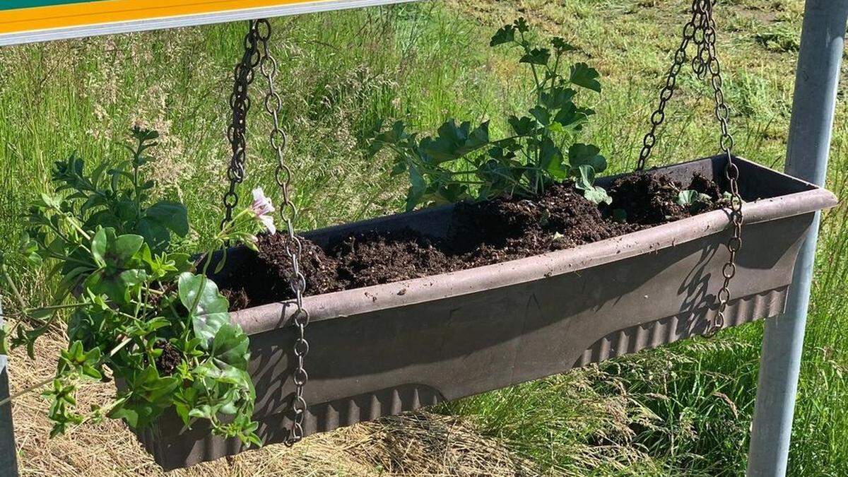 Bei Wegweisern, die nach Dirnbach führen, fehlen jetzt die Blumen