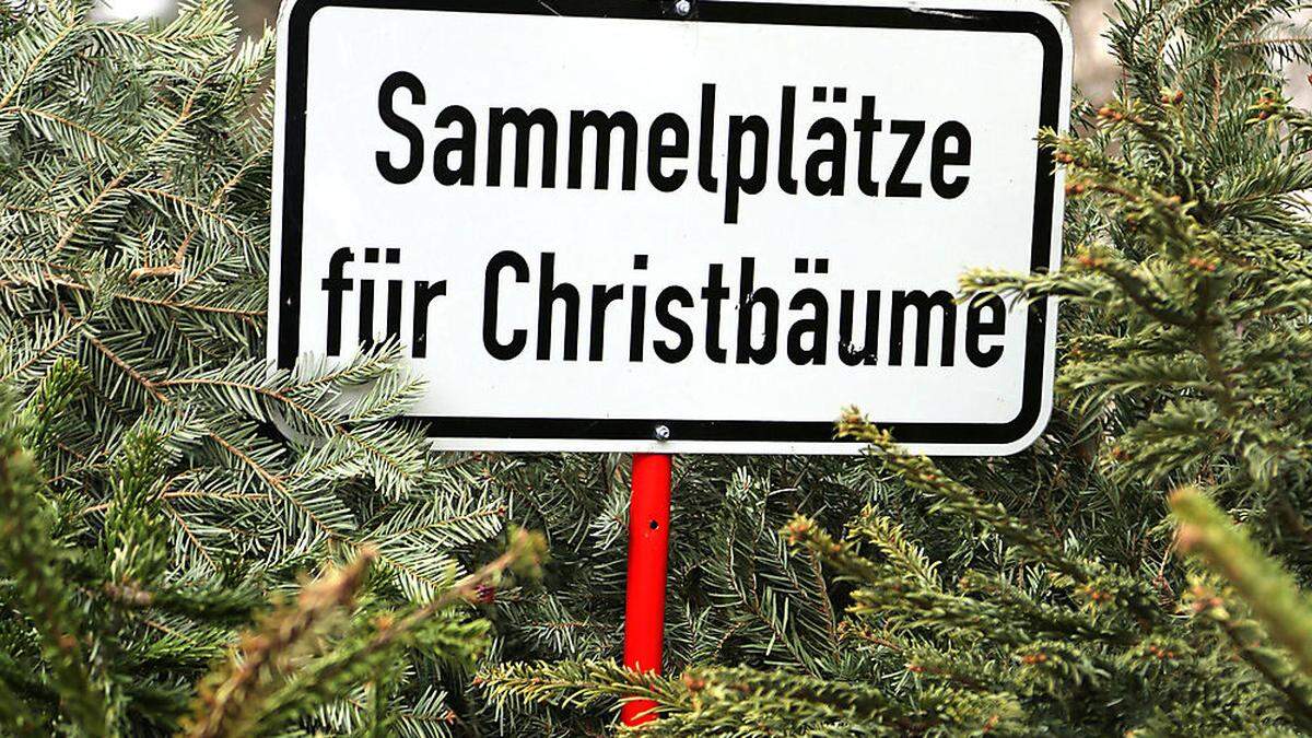 Christbäume können an drei Standorten entsorgt werden