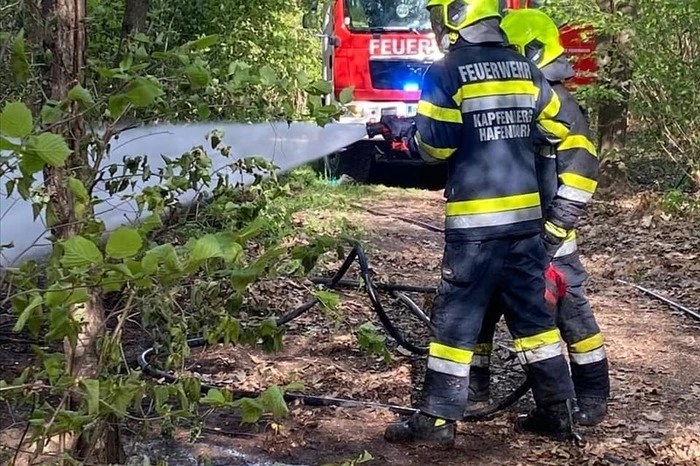Ein Teil eines Waldstücks war abgebrannt