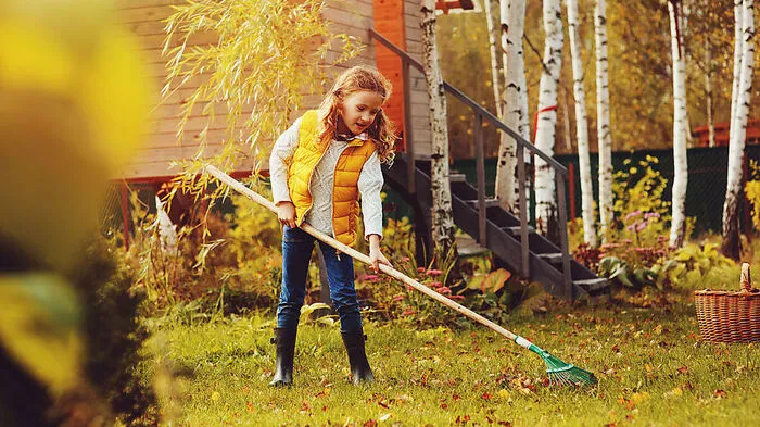 Im Herbst kann noch einiges im Garten getan werden