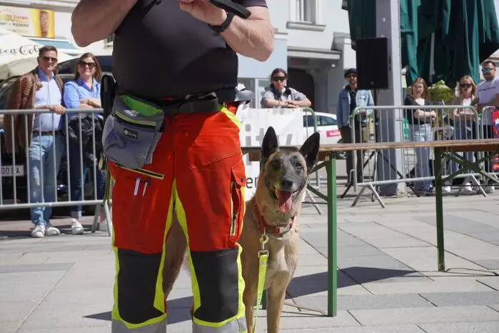 Im Zuge einer Vorführung wurde das Können der Vierbeiner und Hundeführer unter Beweis gestellt.
