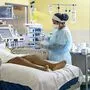Mehr als 4,94 Millionen Menschen starben mit oder an dem Virus, seit dieses im Dezember 2019 erstmals im chinesischen Wuhan nachgewiesen wurde.